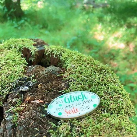 Appartement Ferienwohnung-birlenbach *