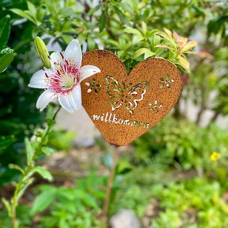 Ferienwohnung-birlenbach