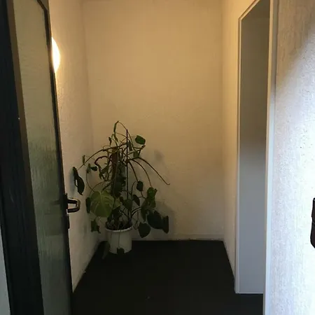 Ferienwohnung-birlenbach Birlenbach