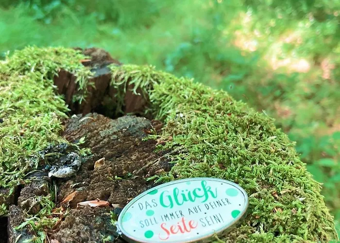 Apartamento Ferienwohnung-birlenbach *