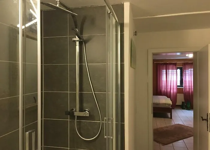 Apartament Ferienwohnung-birlenbach